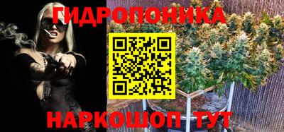 ПСИЛОЦИБИНОВЫЕ ГРИБЫ Пугачёв