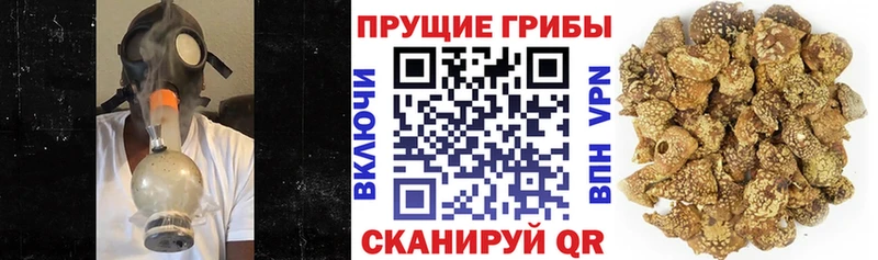 Галлюциногенные грибы прущие грибы  цена наркотик  Ханты-Мансийск 