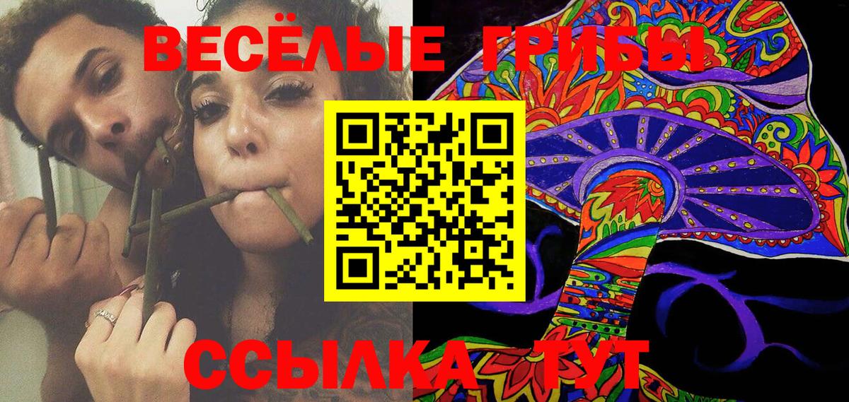 Псилоцибиновые грибы Cubensis  купить закладку  Ханты-Мансийск  Вход с VPN 
