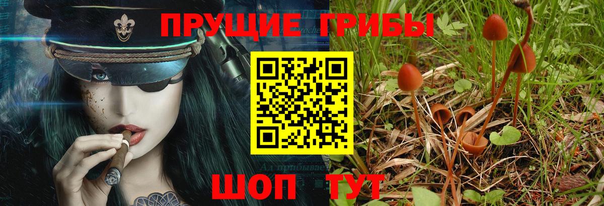 Псилоцибиновые грибы GOLDEN TEACHER Ханты-Мансийск